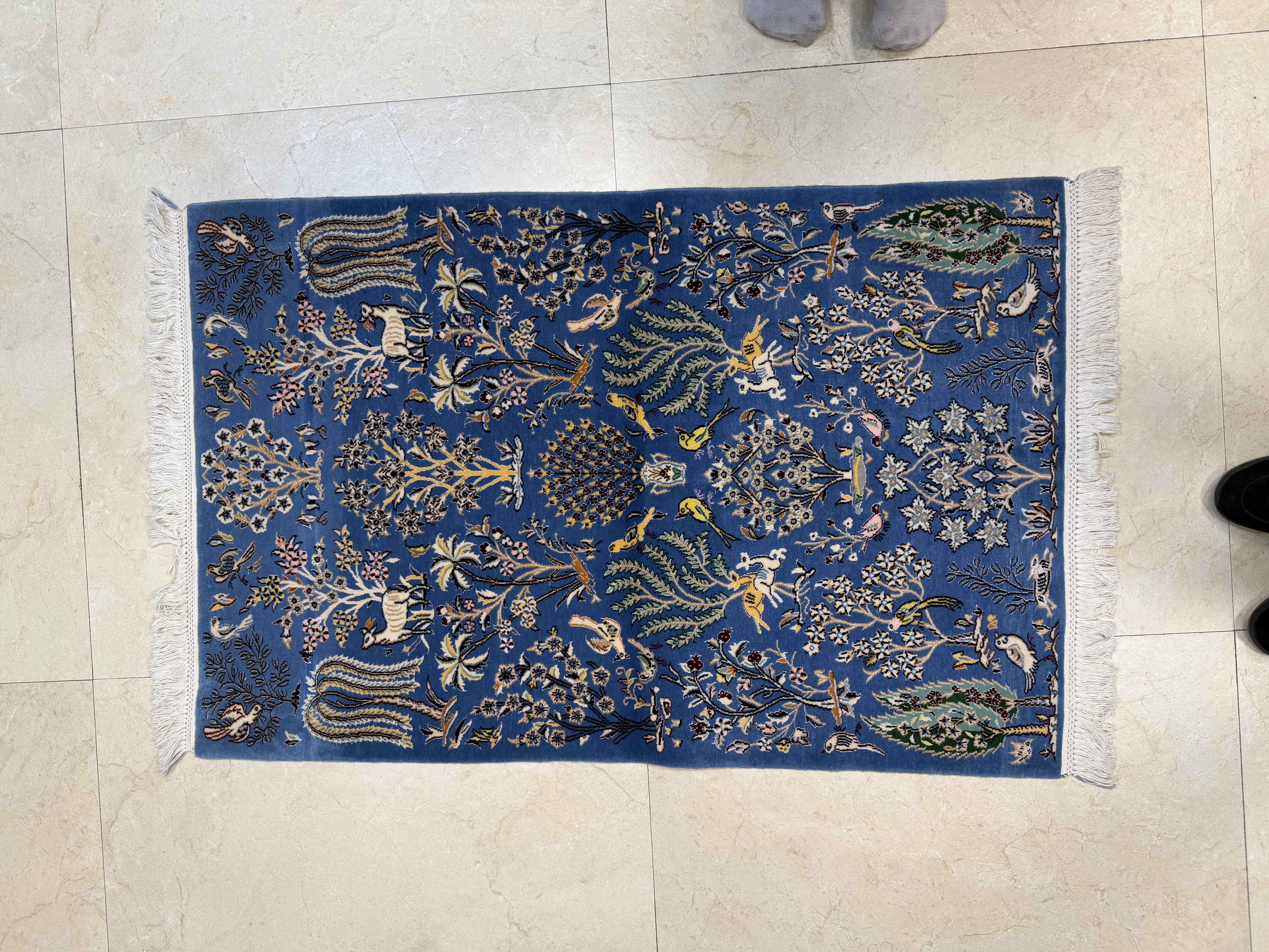 ۸۰ در ۱۲۰
